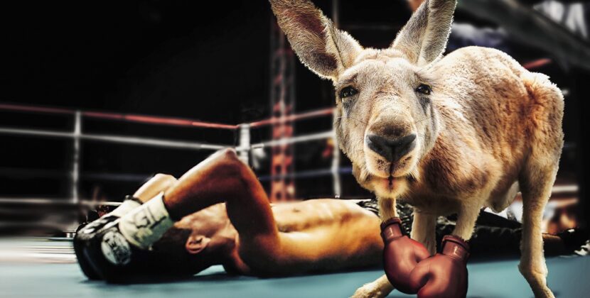 Jakich stereotypów nie znoszą Australijczycy